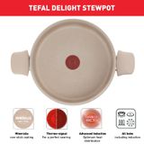 Nồi chống dính vân đá cao cấp Tefal Delight G2934602, 24cm 