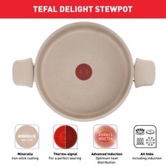 Nồi chống dính vân đá cao cấp Tefal Delight G2934602, 24cm ảnh 2