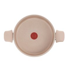 Nồi chống dính vân đá cao cấp Tefal Delight G2934602, 24cm ảnh 4
