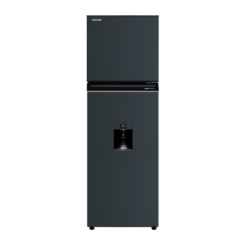 Tủ Lạnh Toshiba 249L GR-RT325WE-PMV(06)-MG