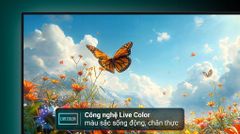 Google Tivi Sony 4K 85 inch K-85S25VM2 ảnh 4