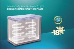 Tủ đông 1 ngăn 1 cánh Sunhouse SHR-F1233W1 ảnh 6