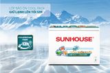  Tủ đông 1 ngăn 1 cánh Sunhouse SHR-F1283W1 