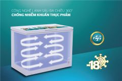 Tủ đông 1 ngăn 1 cánh Sunhouse SHR-F1283W1 ảnh 7