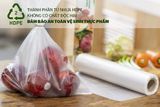  Túi đựng thực phẩm phân hủy sinh học Sunhouse KS-FO2535B 