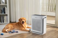 Máy lọc không khí Levoit Vital 200S máy lọc không khí diện tích 88m² phù hợp thú cưng ảnh 3