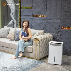 Máy hút ẩm 30L Lumias D6S-30L ảnh 5