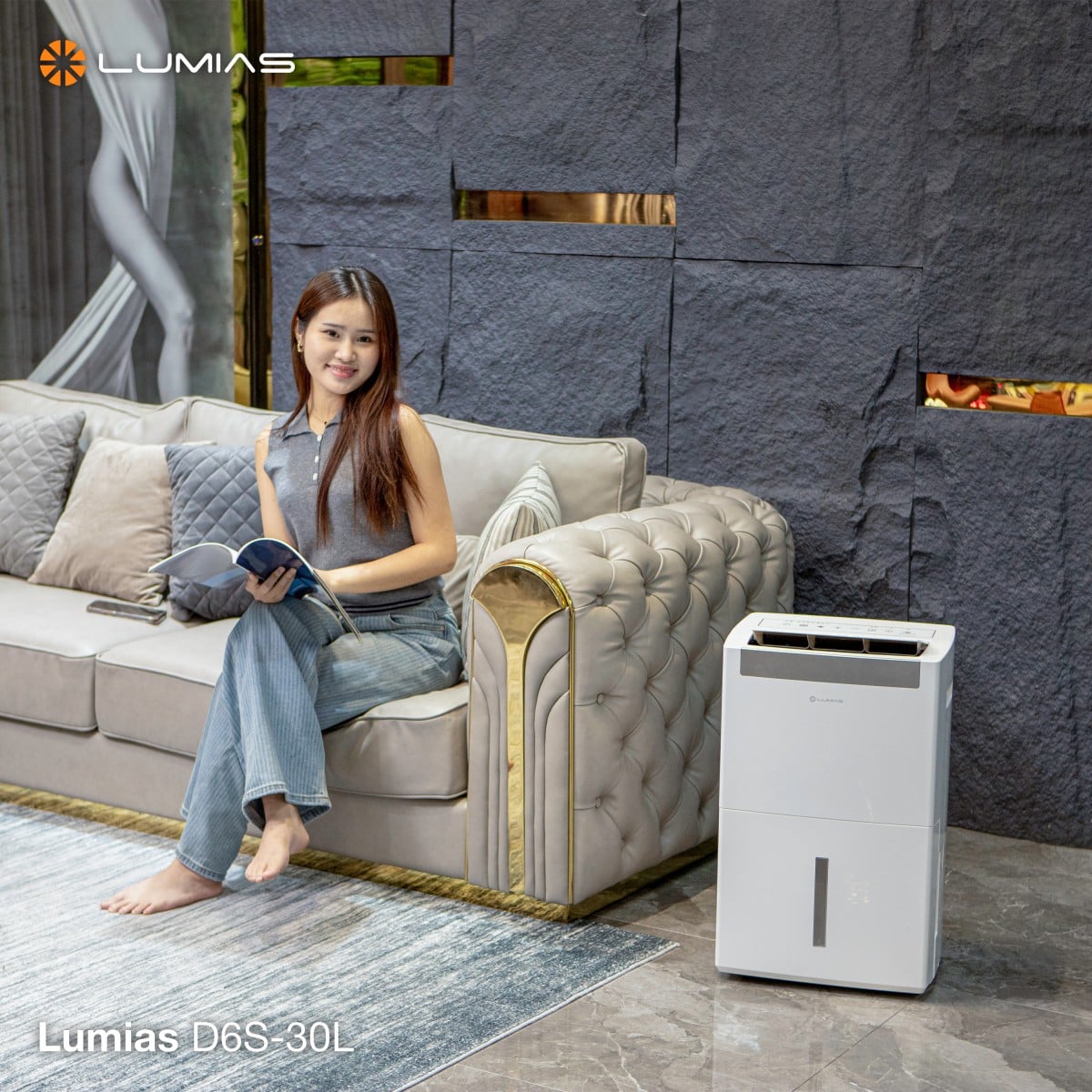 Máy hút ẩm 30L Lumias D6S-30L – ảnh 6