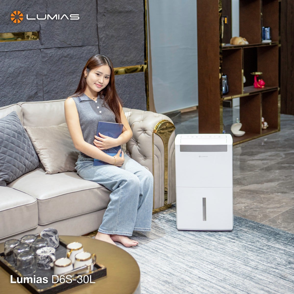 Máy hút ẩm 30L Lumias D6S-30L – ảnh 7
