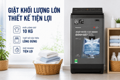 Máy giặt Panasonic Inverter 10 kg NA-FJ100X1DV