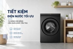 Máy giặt Panasonic Inverter 11 kg NA-22VDG1BVT ảnh 4