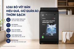 Máy giặt Panasonic Inverter 11.5 kg NA-FJ115X1BV ảnh 2