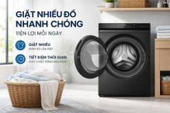 Máy giặt Panasonic Inverter 12 kg NA-24VDW1BVT ảnh 3