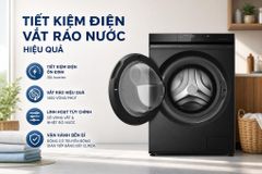 Máy giặt Panasonic Inverter 12 kg NA-24VDW1BVT ảnh 2