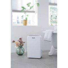 Máy hút ẩm Wood’s MRD10 ảnh 7