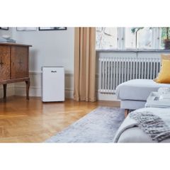 Máy hút ẩm Wood’s MRD20 ảnh 8