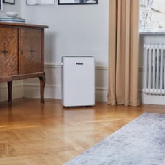 Máy hút ẩm Wood’s MRD25G ảnh 7