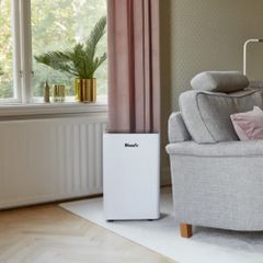 Máy hút ẩm Wood’s MRD25GW Wifi ảnh 6