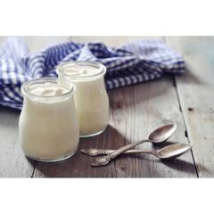 Máy Làm Sữa Chua Steba JM 2 ảnh 5
