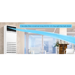 Máy lạnh tủ đứng LG 3 HP ZUUQ30GV1.EWGHEVH/ZPNQ30GT3A1 ảnh 3