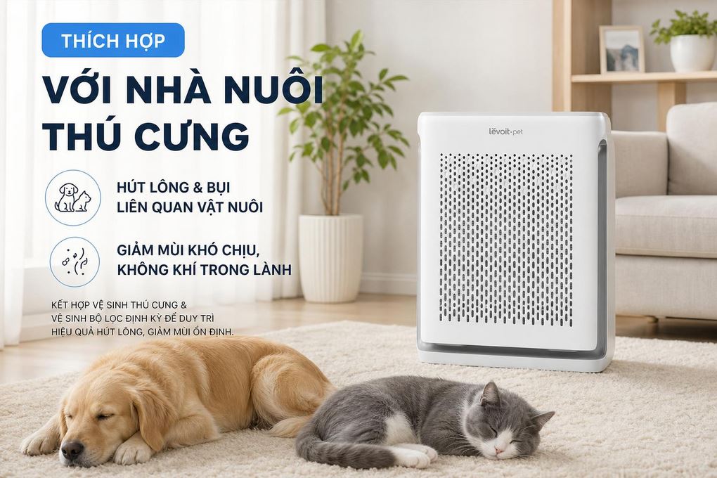 Máy lọc không khí Levoit Vital 100s - hình ảnh thực tế Máy lọc không khí Levoit Vital 100s - hình ảnh thực tế