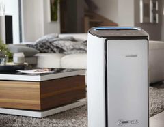 Máy Lọc Không Khí Rowenta PU 6080 Intense Pure Air Connect XL ảnh 5