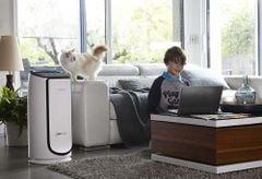 Máy Lọc Không Khí Rowenta PU 6080 Intense Pure Air Connect XL ảnh 6