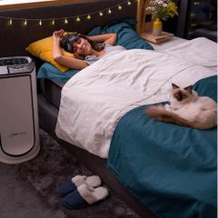 Máy Lọc Không Khí Rowenta PU 6080 Intense Pure Air Connect XL ảnh 3
