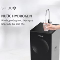 Máy lọc nước RO Shibu SB16 11 lõi ảnh 3