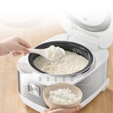  Nồi cơm cao tần Tefal Rice Master RK8131Y0 - 1.5L 