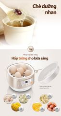 Nồi nấu chậm Bear DDZ-A08D1 ảnh 6