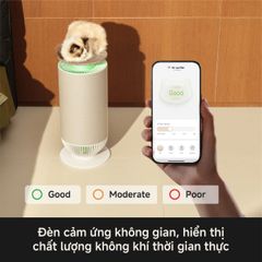 Máy lọc không khí Mova Puris P10 ảnh 3