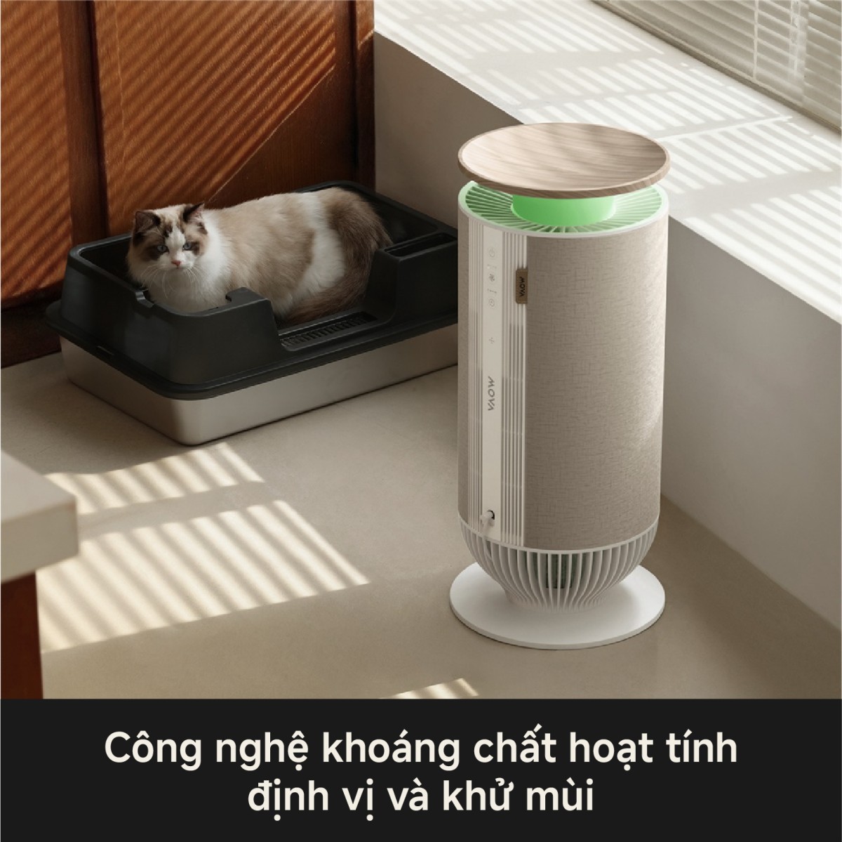 Máy lọc không khí Mova Puris P10 – ảnh 6
