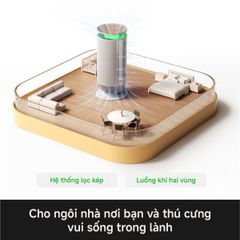 Máy lọc không khí Mova Puris P10 ảnh 7