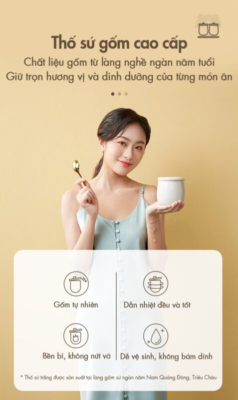 Nồi nấu chậm Bear DDZ-C10V1 – ảnh 8