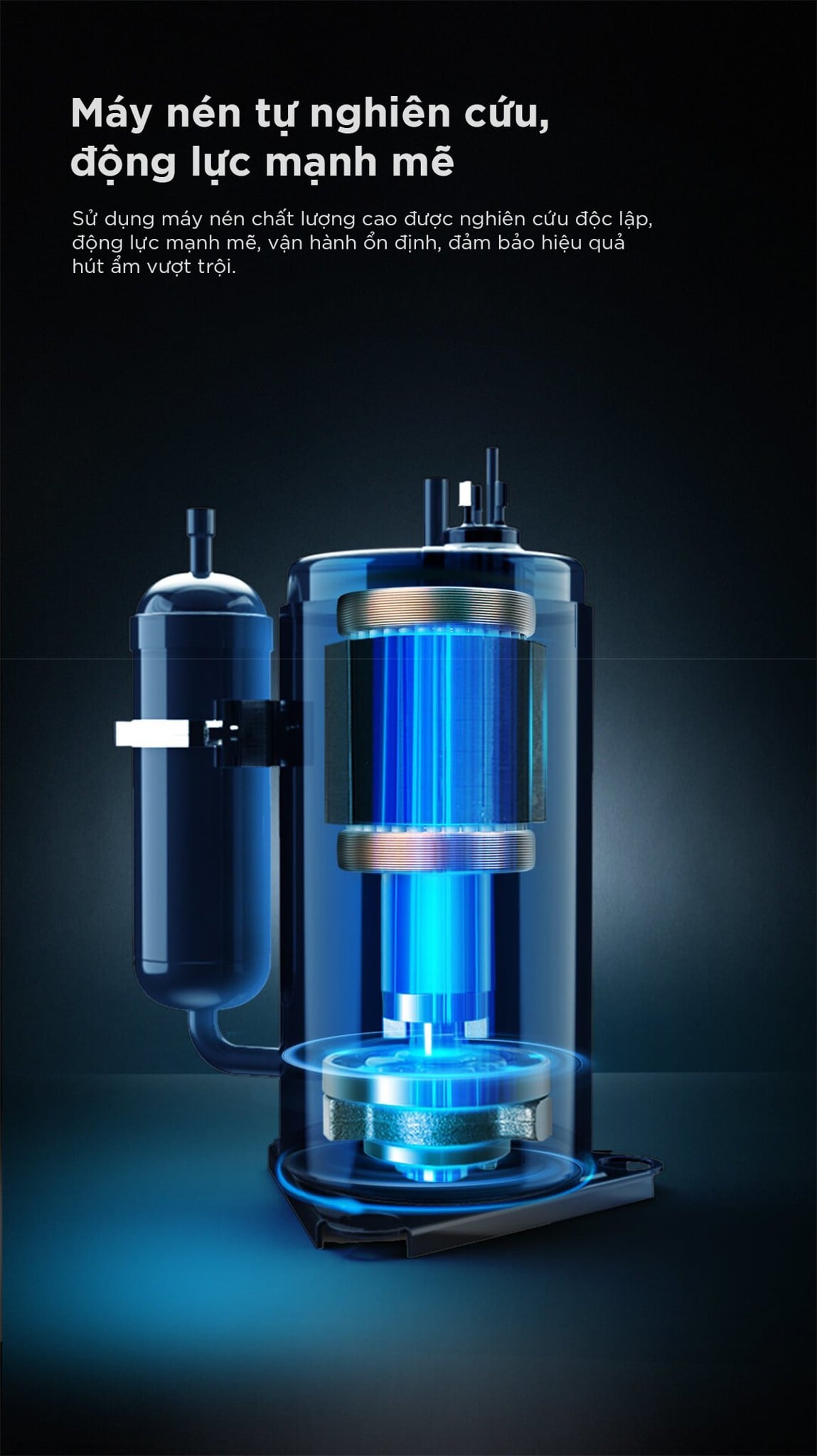 Máy hút ẩm NWT 12L – ảnh 8