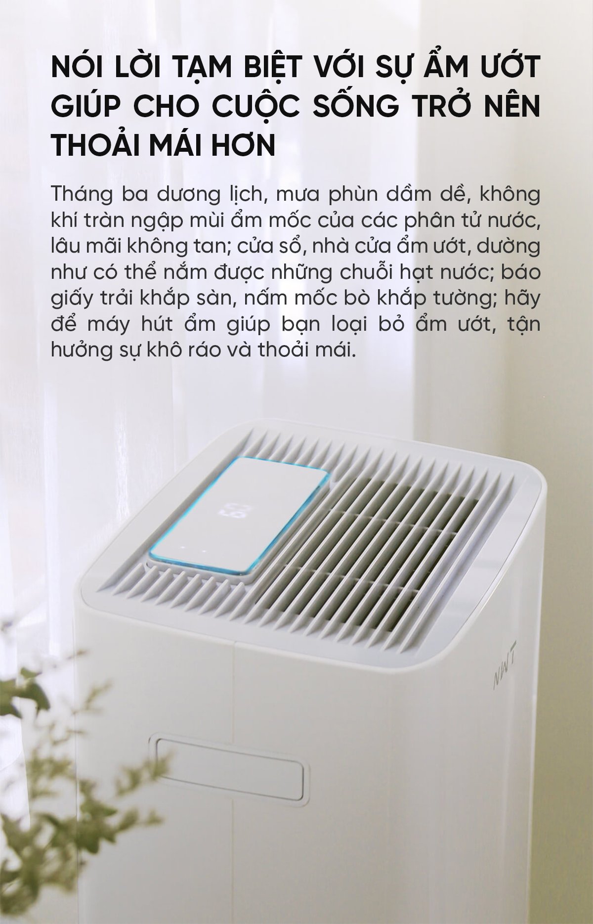Máy hút ẩm NWT 30L – ảnh 3