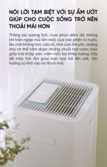 Máy hút ẩm NWT 30L ảnh 3