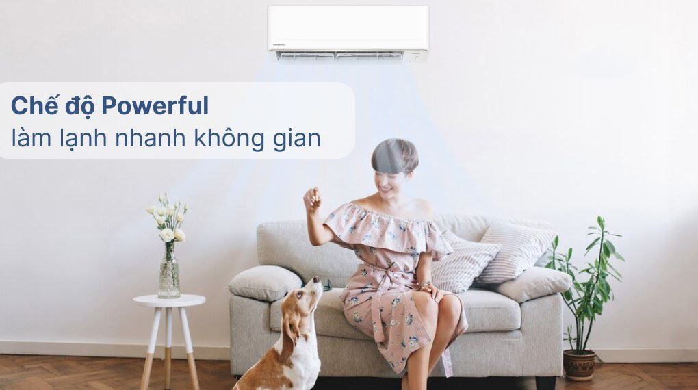  Máy lạnh Panasonic Inverter 1 HP CU/CS-PU9AKH-8 