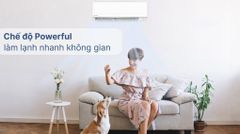 Máy lạnh Panasonic Inverter 2 HP CU/CS-PU18AKH-8