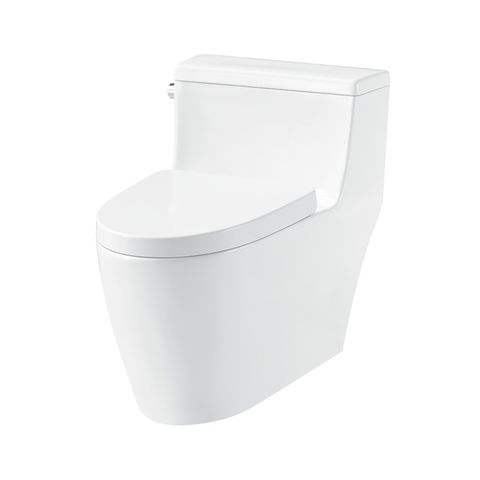 Bồn Cầu 1 Khối Iconic Hafele 588.79.401