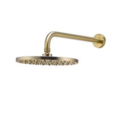 Sen Đầu Gắn Tường Retro Hafele 589.15.390