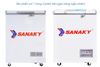 Tủ Đông Sanaky 100 lít VH162HY2