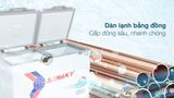  Tủ đông Sanaky 270 lít TD.VH3699A2KD 