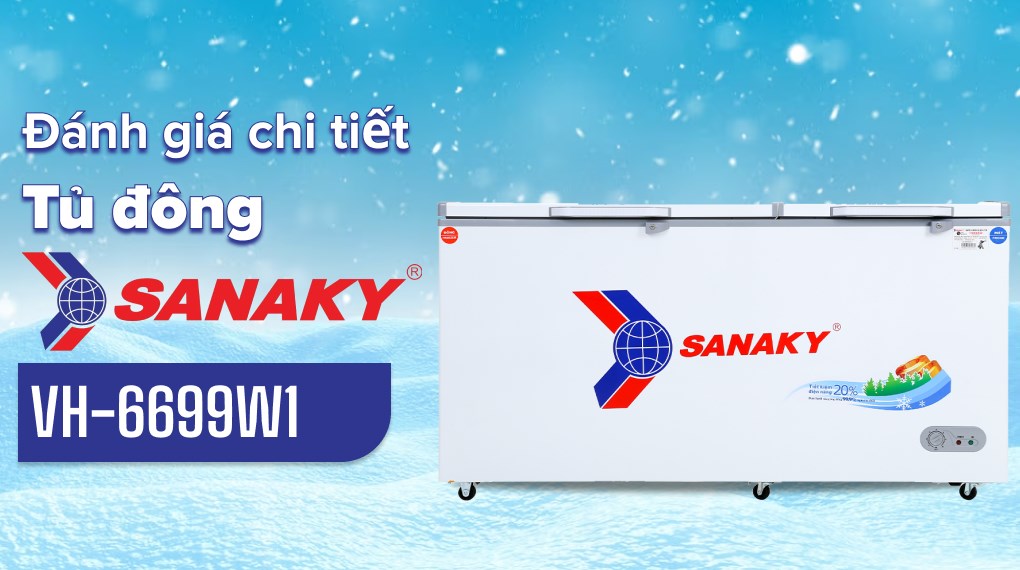 Tủ đông Sanaky 485 lít VH-6699W1