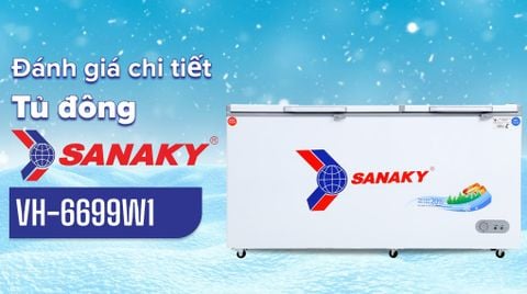 Tủ đông Sanaky 485 lít VH-6699W1