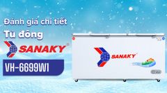 Tủ đông Sanaky 485 lít VH-6699W1 ảnh 1
