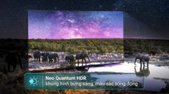 Tivi Neo QLED Samsung 4K 50 inch QA50QN70F ảnh 5