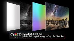 Smart Tivi OLED LG AI 4K 65 inch 65G3PSA ảnh 5