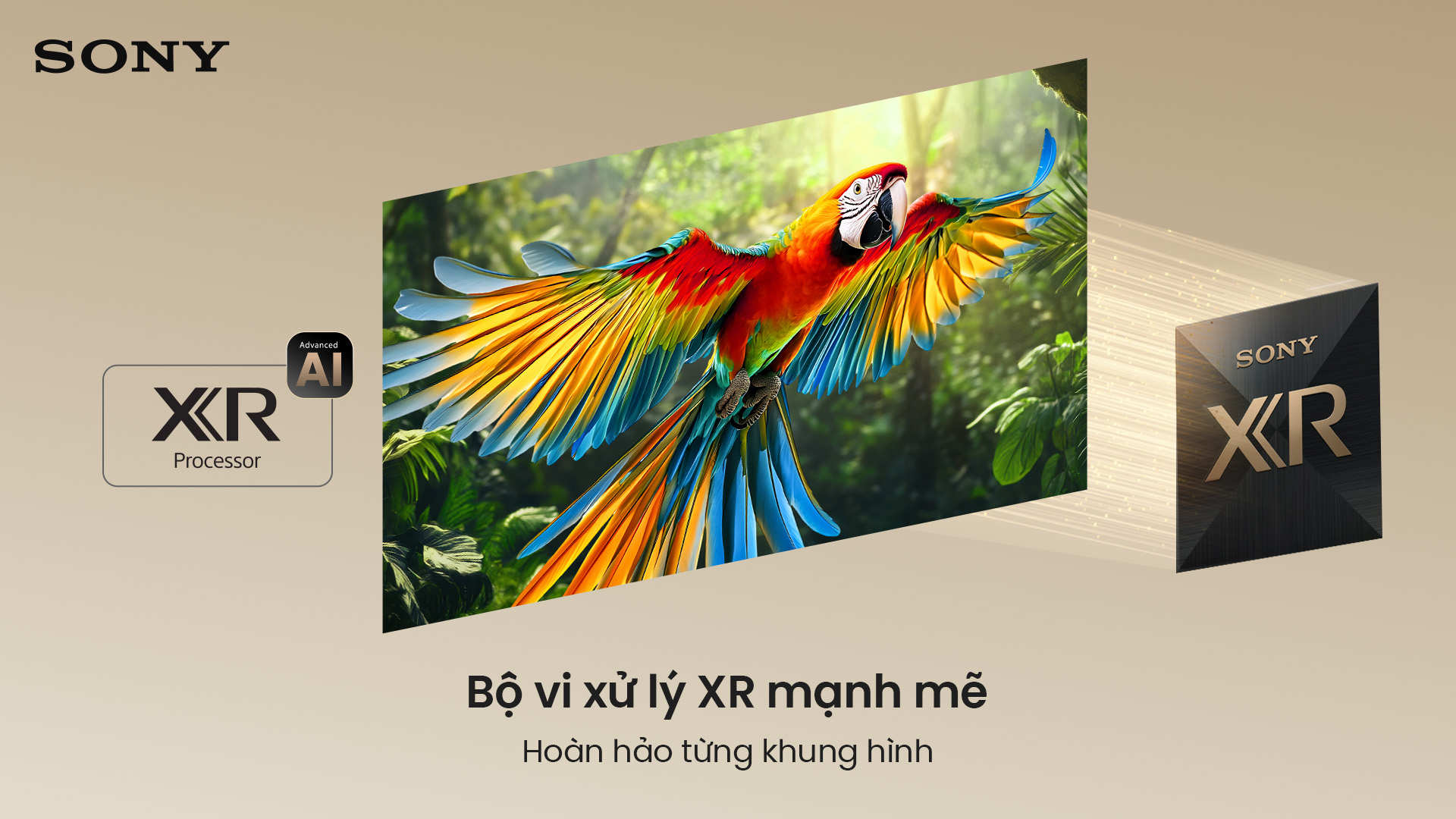 Google Tivi True RGB Sony 65 Inch BRAVIA 7 II K-65XR70M2 – ảnh 8